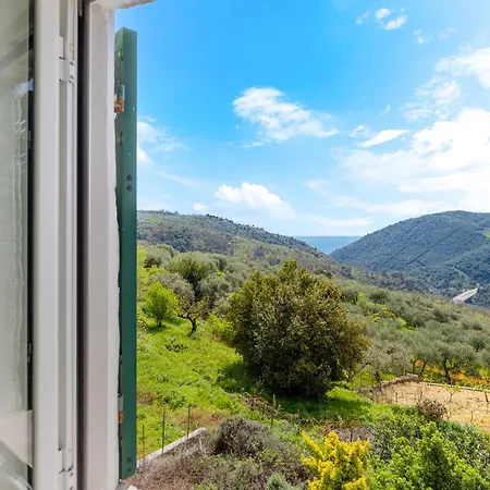 Hostdomus - Outdoor 1 Apartment *